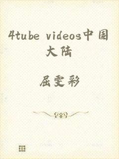 4tube videos中国大陆